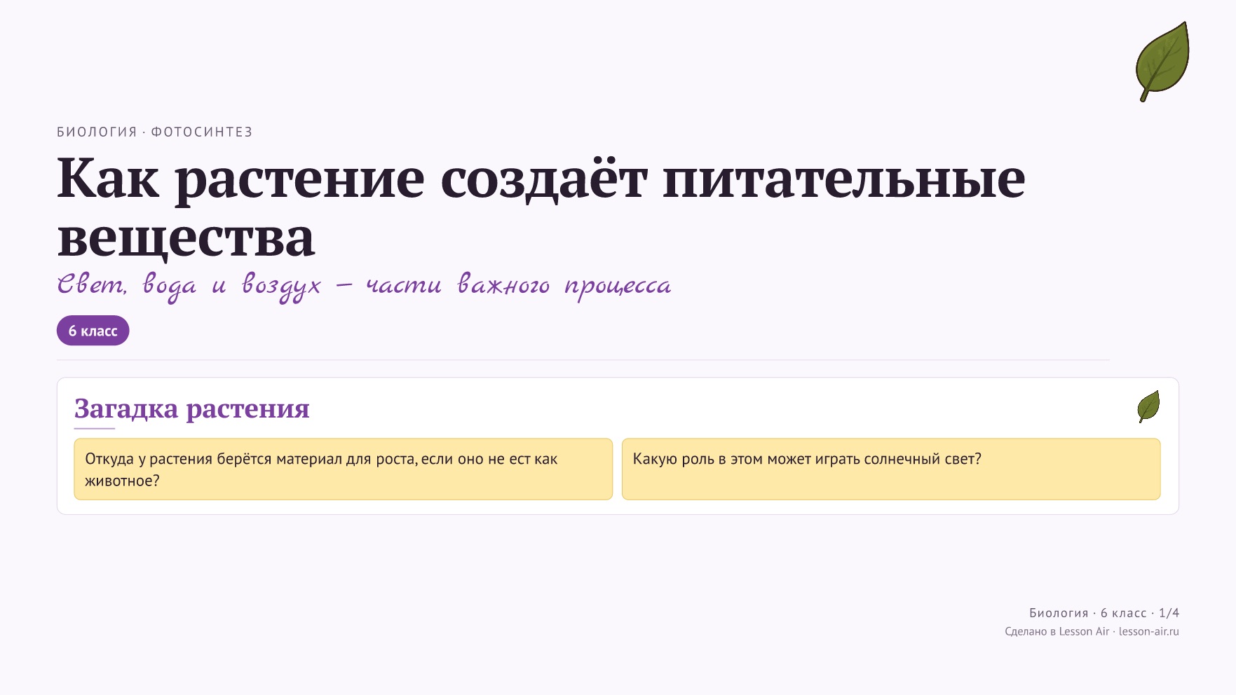 Рабочий лист «Как растение создаёт питательные вещества», Биология, 6 класс